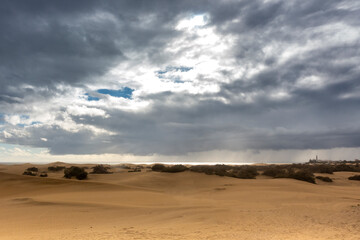 Maspalomas Dunes, in Gran Canaria , Canary islands