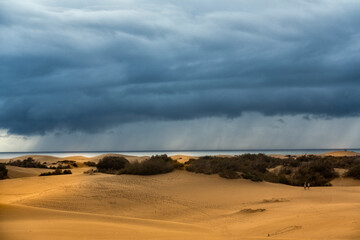 Maspalomas Dunes, in Gran Canaria , Canary islands