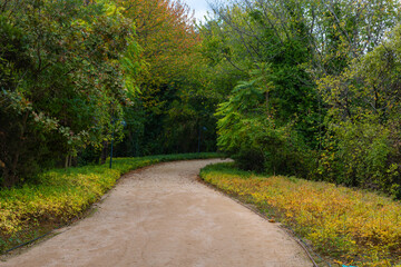 Ataturk City Forest in Sariyer Istanbul. Jogging trail in the forest