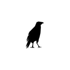 Obraz premium Raven icon