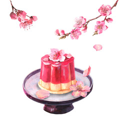 Watercolor japanese confectionery, composition edible flower Sakura in jelly on ceramic plate and with sakura branch, wagashi isolate on white background. Food menu design.