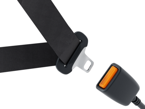 Safety belt on transparent background.