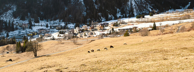 Beautiful view of Peio Fonti