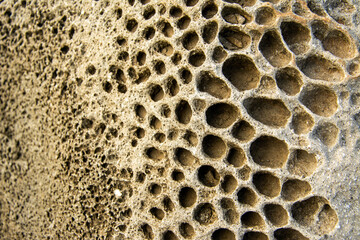 Patterned holes in volcanic rock texture