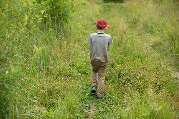 Child picks berries. Boy in grass. Berry search.