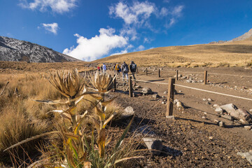 horizontal shot of group of hikers walking through the Nevado de Toluca national park in Mexico