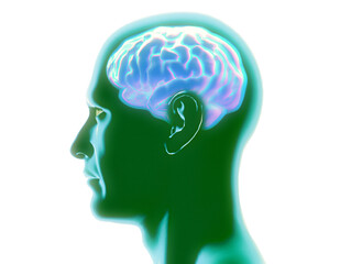 Obraz premium Neurology, philosophy: connections, the development of thought and reflection, the infinite possibilities of the brain and mind. Human anatomy. Digital reality, artificial consciousness. 3d render