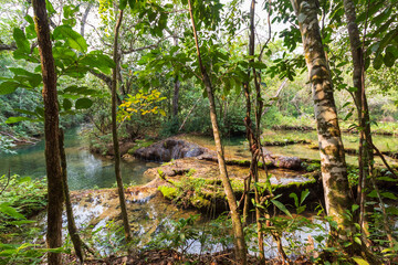 tropical forest in the jungle waterfall city of Bonito, Mato Grosso do Sul Brazil Pantanal