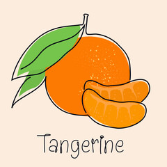 Tangerine, mandarin, orange continuous line icon. Citrus fruit one line hand drawn silhouette. Organic, vegan concept. Modern minimal style linear logo sign. Vector scribble logotype