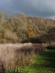 autumn in the mountains