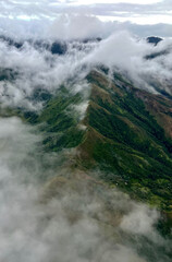 Obraz premium Jungle and untouched nature
