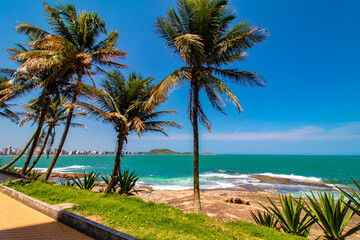 Fototapeta na wymiar palm trees on the beach of Praia do Morro Guarapari metropolitan region of Vitória, Espirito Santo, Brazil