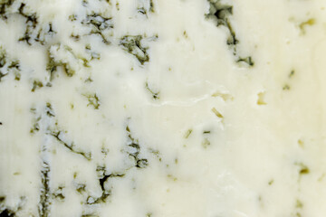 Cheese with blue mold, close-up. Delicious dairy product, delicacy.