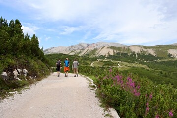 hiking in the mountains