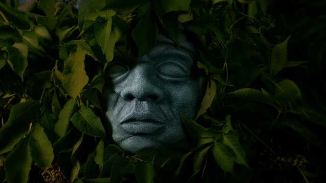 Aztec Head In The Jungle - Lost Civilization Concept