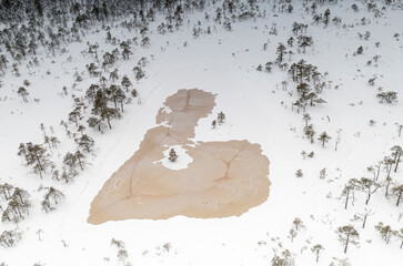 Aerial view to heart shaped frozen  bog lake surrounded by the snowy wetland landscape