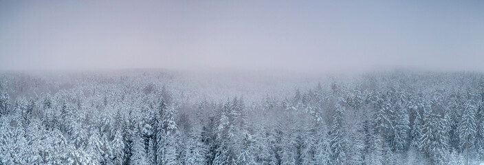 Aerial view to the snow-clad Nordic coniferous woodland with the dreamy misty sunset sky in the background
