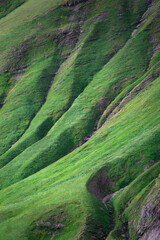 Lush green descent in the highlands, Europe