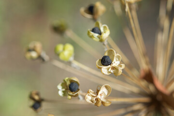 Nature structures