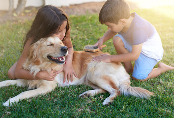 Pamper time for their pooch. Shot of a little boy and his sister brushing their dogs coat in the...