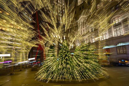 Holiday Lights