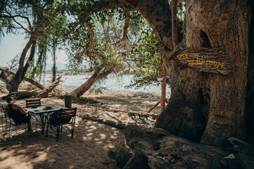 Auszeit unter dem "Tree of Wisdom" am Ufer des Kunene, Namibia