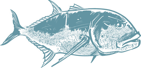 the vector sketch of the giant trevally