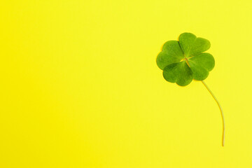 Beautiful green four leaf clover on yellow background, top view. Space for text