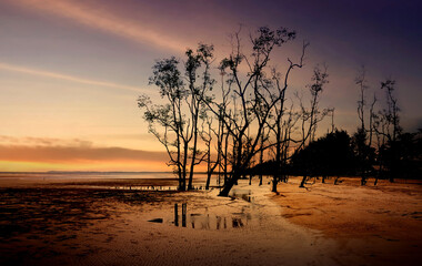 sunset on the beach