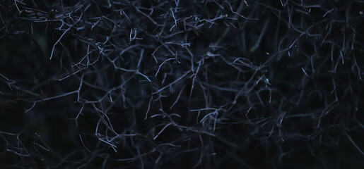 abstract background design texture template wallpaper