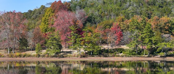きれいに色づいた水辺のパノラマ紅葉情景