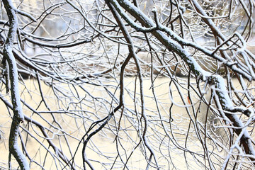 winter background branches snow park nature