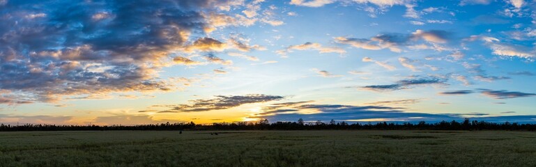 Sky atmosphere with sunset light over the forest.