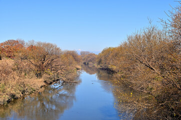 埼玉の川