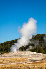 The old faithful geyser 