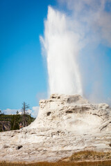The Castle geyser at Yellowstone National Park