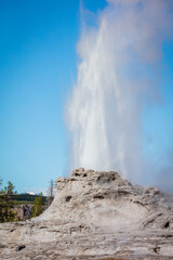 Fototapeta na wymiar The Castle geyser at Yellowstone National Park