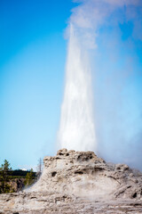 The Castle geyser at Yellowstone National Park
