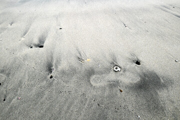 波打ち際の砂の紋