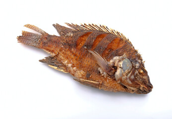 fried tilapia, freshwater fish isolated on white background