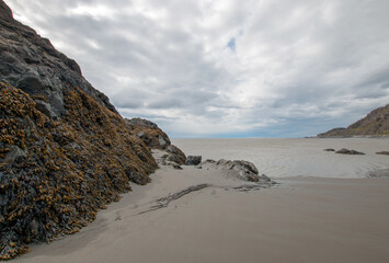 Mud beach at Beluga Point near Anchorage Alaska United States
