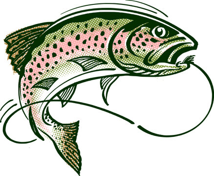 recommend clip art: trout vector illustration