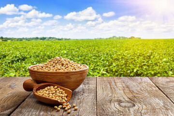 soybeans in ceramic bowl and wooden scoop on table with green field as background