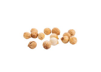 Coriander seeds isolated on transparent png