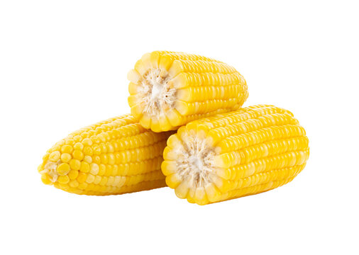 Corn On Transparent Png