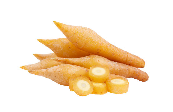 Kaempfer or finger root (Krachai) Thai herb on transparent png