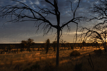 The landscape at dawn of Watarrka National Park - Kings Canyon, Northern Territory.	