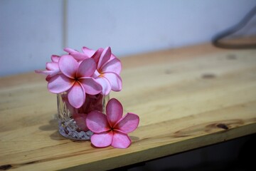 Fototapeta na wymiar Pink Plumeria FLowers in Glass on Table