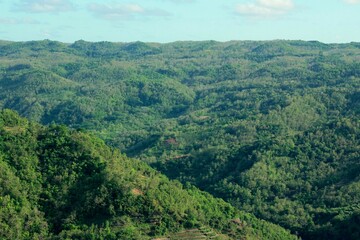 Fototapeta na wymiar Landscape of Green Forest Hills in Indonesia