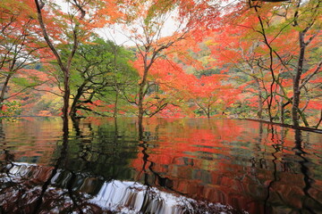 京都嵐峡の紅葉